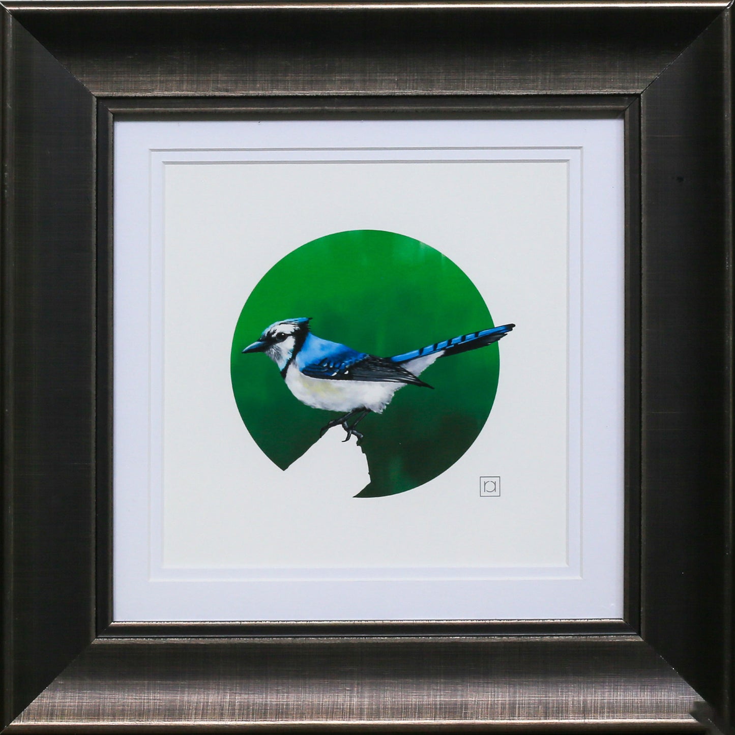 Charismatic Blue Jay