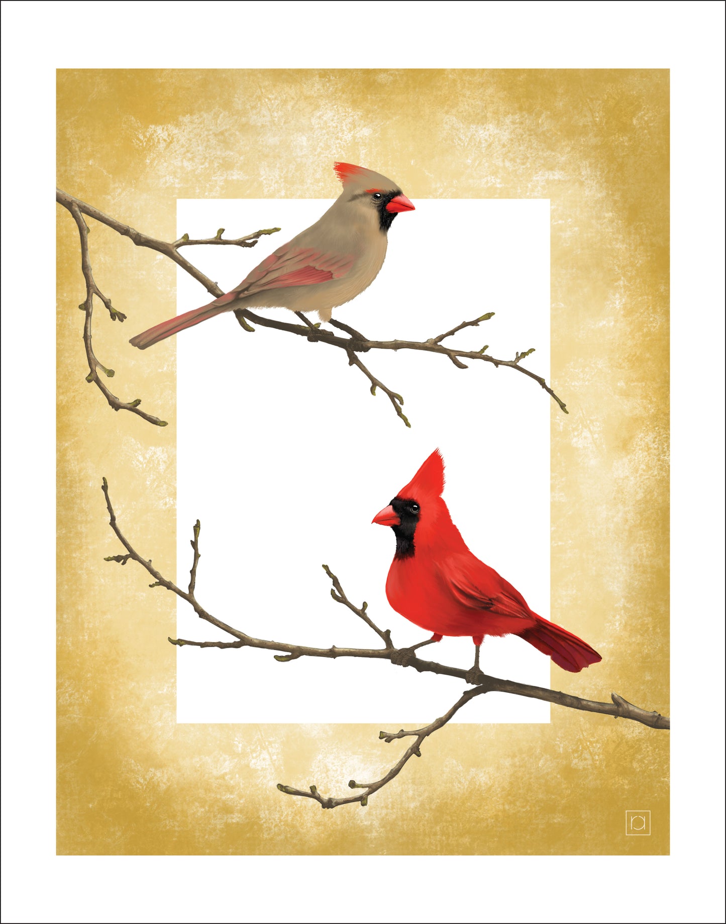Graceful Cardinal Pair