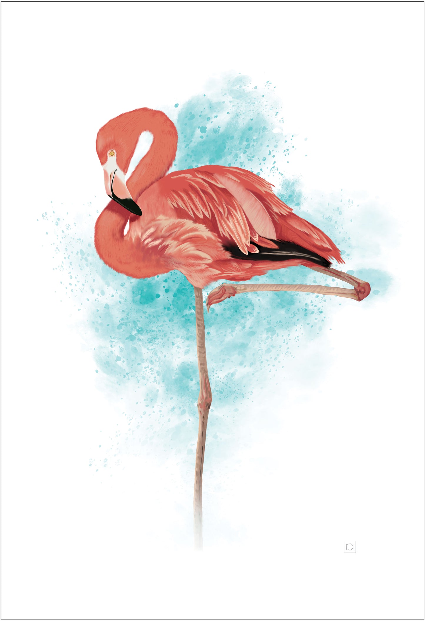 Flamingo