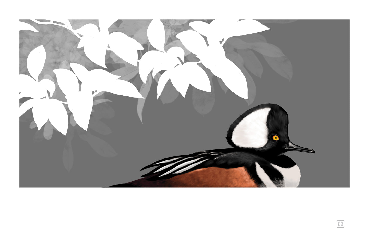 Hooded Merganser
