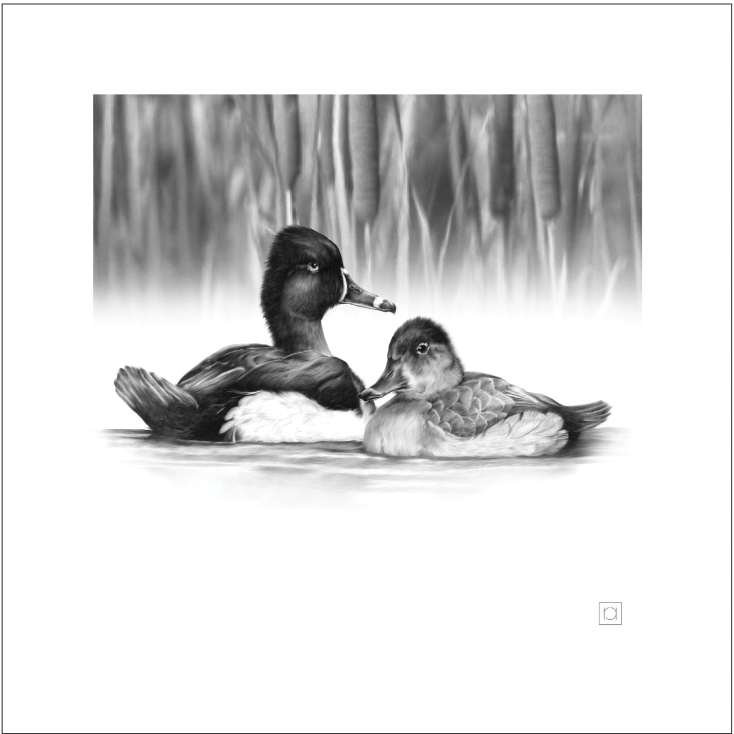 Ring Neck Duck Pair