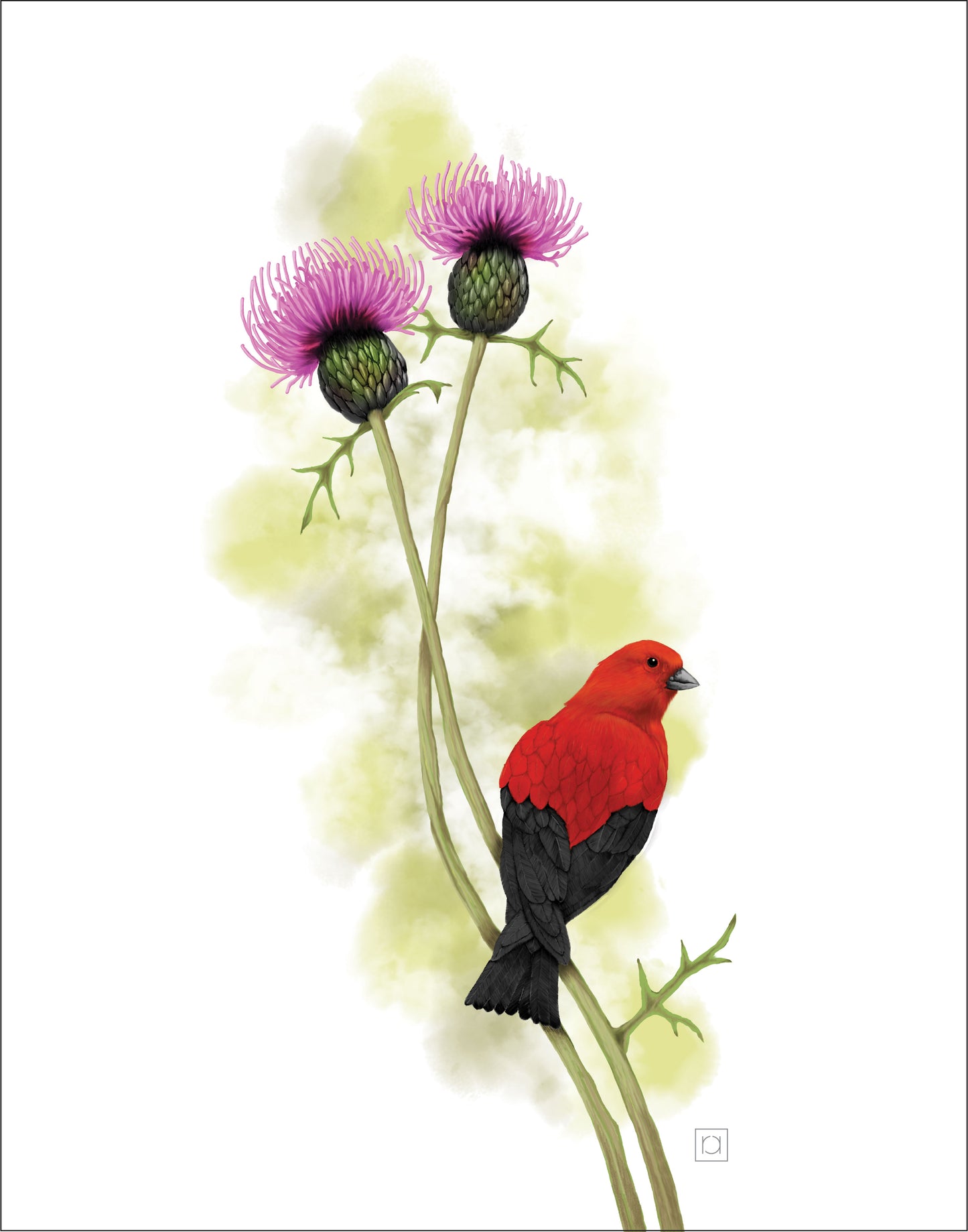 Scarlet Tanager