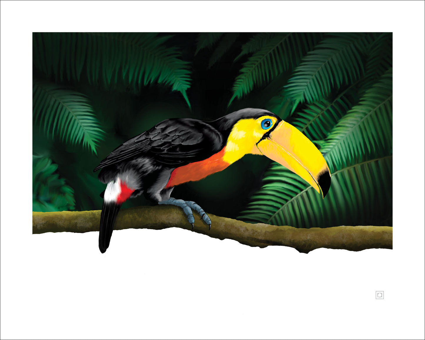 Tropical Toucan