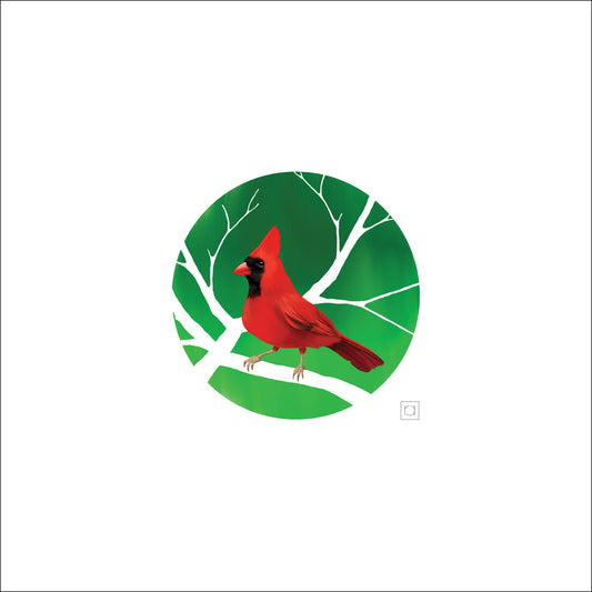 A Cardinal’s Perch